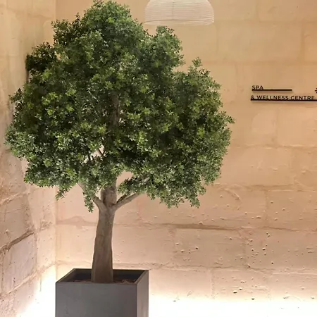 Aura By Mercury Towers דירה Saint Julian's